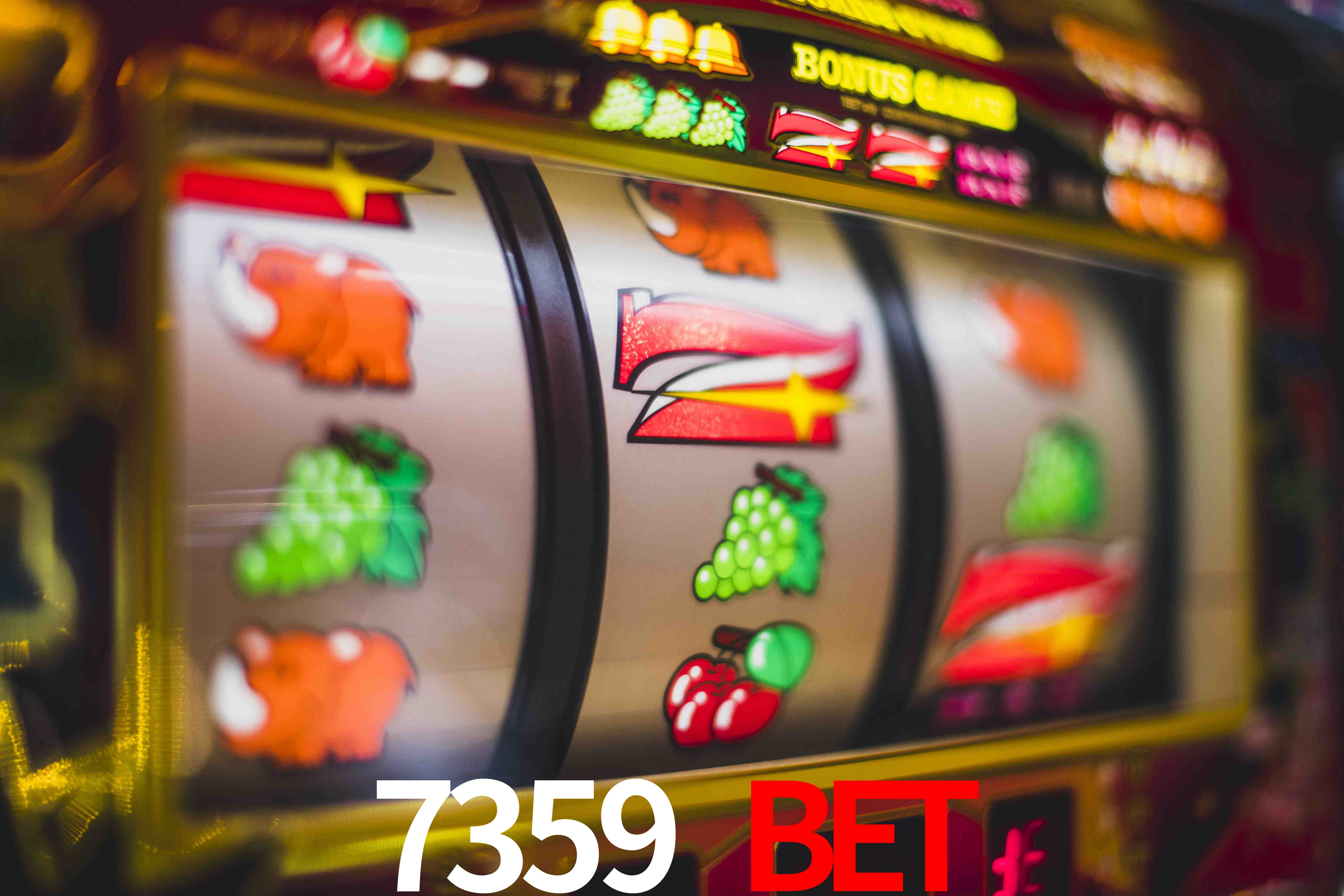 Experiência VIP 7359 bet